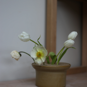 Ikebana Lotus Garden in Biscuit
